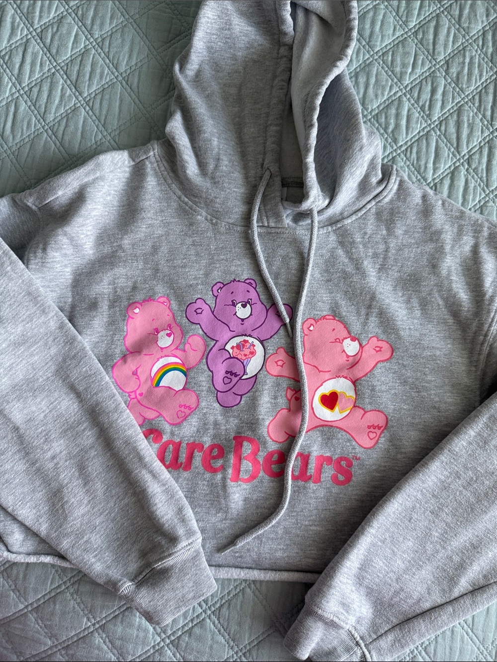 Care Bears Gray Cropped Hoodie with Pink & Purple Bear Graphics